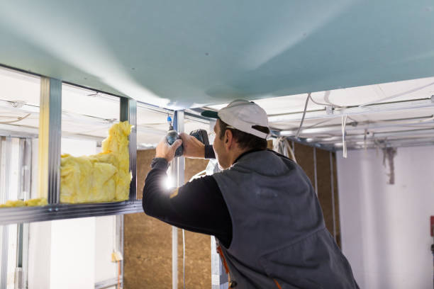 Professional Insulation Contractor in Pleasanton, TX