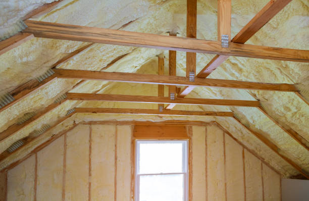 Best Geographic-Specific Insulation Services in Pleasanton, TX