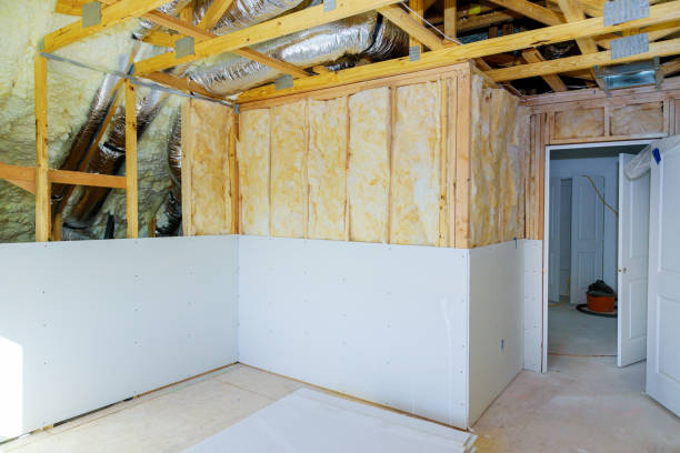 Best Geographic-Specific Insulation Services in Pleasanton, TX