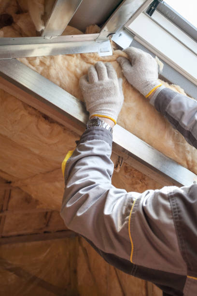 Best Commercial Insulation in Pleasanton, TX