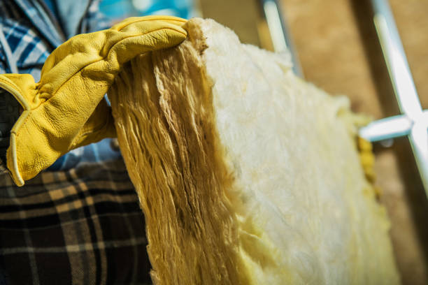 Best Residential Insulation in Pleasanton, TX