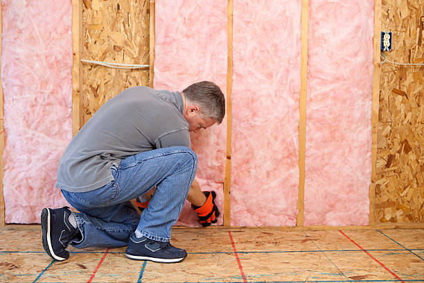 Best Spray Foam Insulation in Pleasanton, TX
