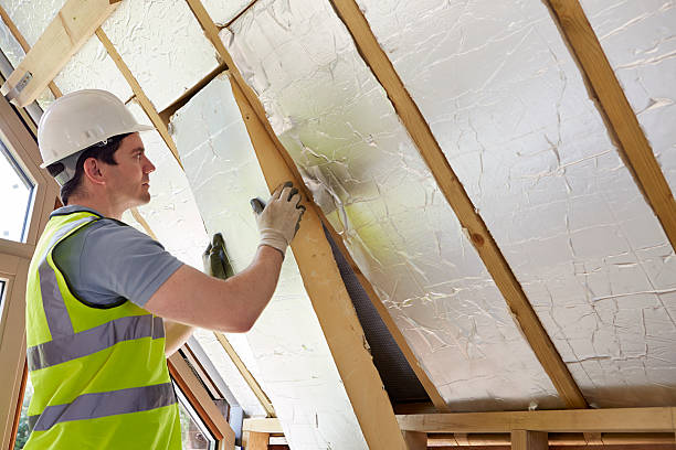 Best Spray Foam Insulation in Pleasanton, TX