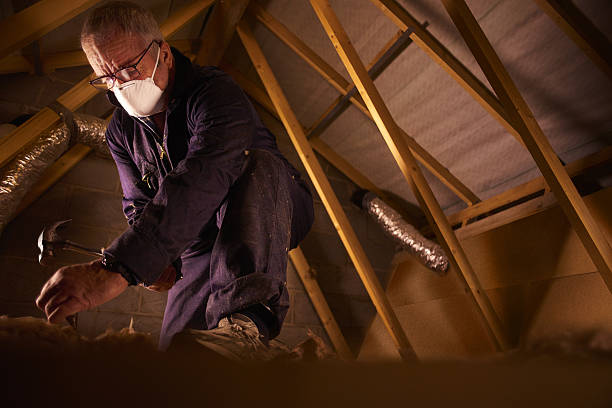 Best Commercial Insulation in Pleasanton, TX