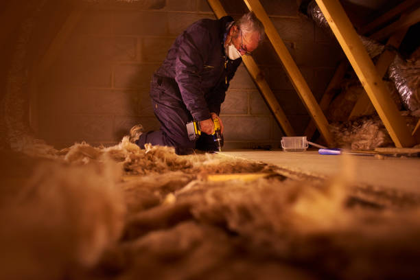 Best Eco-Friendly Insulation in Pleasanton, TX