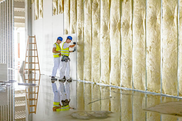 Best Spray Foam Insulation in Pleasanton, TX